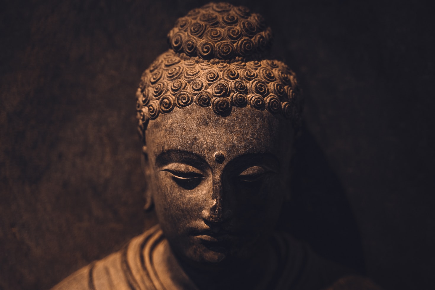The Meditating Brain – How Mindfulness Rewires Your Stress Response